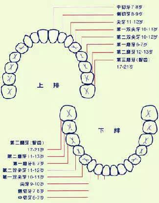 大門牙面相|面相大全——牙齒